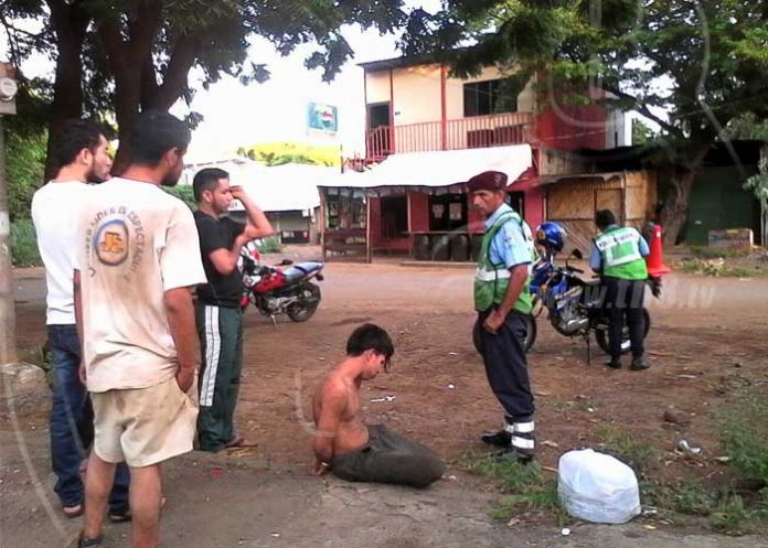 ant2