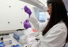 Logran producir anticuerpos humanos que logran combatir enfermedades