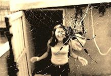 Comprobado: El miedo a arañas y serpientes es de origen evolutivo