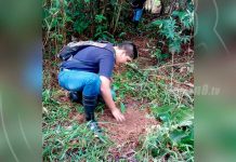 Región Autónoma de la Costa Caribe Sur saluda el Día Nacional del Árbol