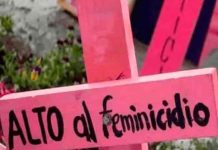 argentina, femicidios, violencia de genero, violencia domestica,