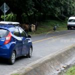 Niño de tres años fallece por accidente de tránsito en Isla de Ometepe