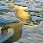 El calentamiento climático en el Ártico se incrementó, advierte un estudio artico, calentamiento, cambio climatico, estudio,