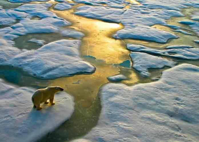 artico, calentamiento, cambio climatico, estudio,