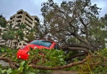 Suben a 7 los muertos en los otros estados de EE.UU. afectados por Irma