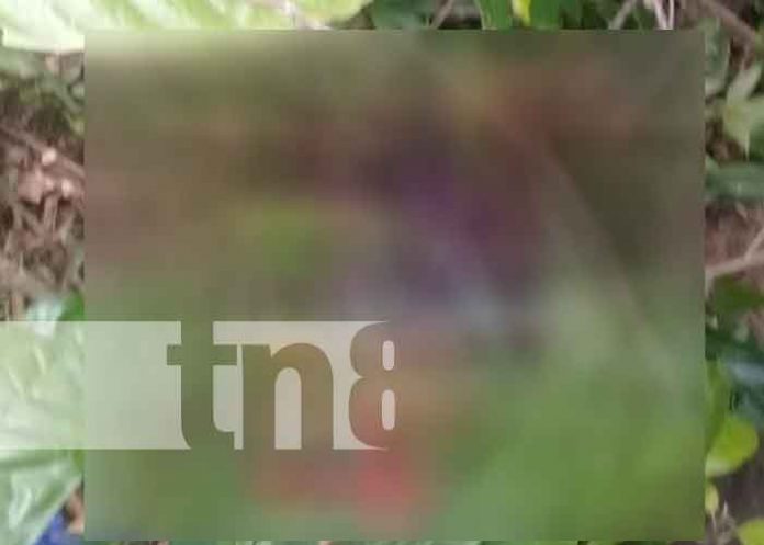 nicaragua, siuna, asesinato, rosita,