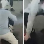 estados unidos, nueva york, atacante,