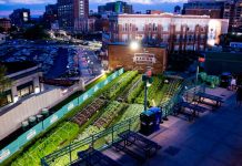 Azoteas y patios son convertidos en cultivos urbanos en EEUU