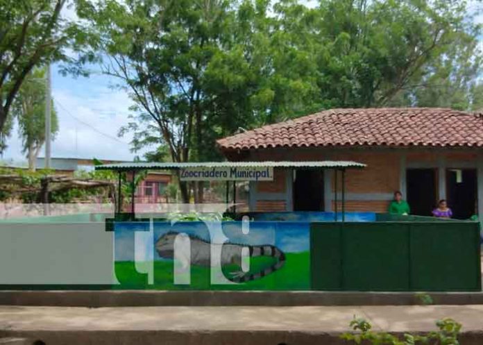 babe-1 nicaragua, nandaime, zoocriadero,