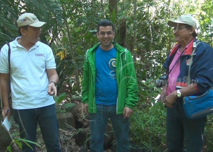 bambu-2