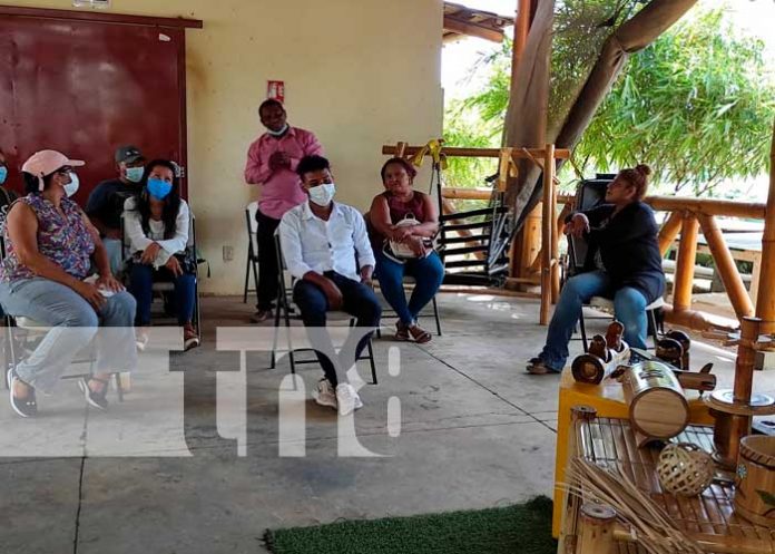 Crecimiento, taller, bambú, Nicaragua,