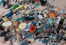 La mayor densidad de desechos plásticos del mundo está en una isla
