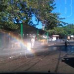 Abejas africanizadas pican a pobladores del barrio El Edén, Managua