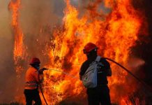 Cientos de bomberos luchan contra un incendio forestal en Grecia grecia, incendio forestal, bomberos, emergencia,