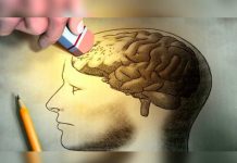 Hallan una hormona que abre una nueva esperanza para tratar el alzheimer