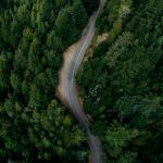 Hallan bosques «perdidos» a través de Google Earth