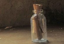 Analizan carta hallada en una botella para saber si procedería del Titanic canada, botella, carta,