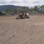 Reportan a menores intoxicados en Jalapa por químico de tabacalera