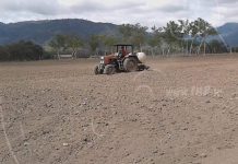 Reportan a menores intoxicados en Jalapa por químico de tabacalera
