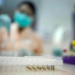 OMS envía a Brasil 3,5 millones de dosis de vacunas contra fiebre amarilla