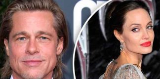 brad pitt, custodia, proceso legal, brad pitt, angelina jolie, hijos,