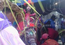 Ometepe: Católicos participan en popular Procesión de la Burrita