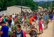 Nueva Segovia: Premian al burrito más cuidado en tradicional desfile
