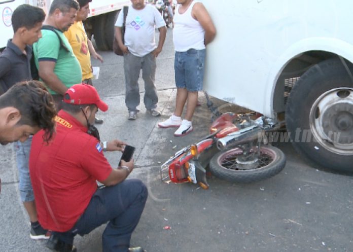 busmoto2