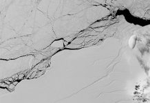 Nuevas grietas en la plataforma glacial Larsen C alertan a los científicos