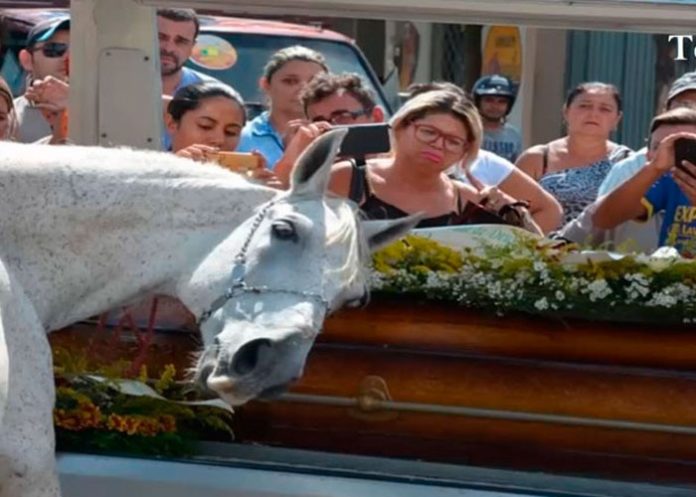 caballo-adios