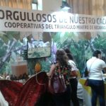 Nicaragua produce más y mejor cacao fino de exportación