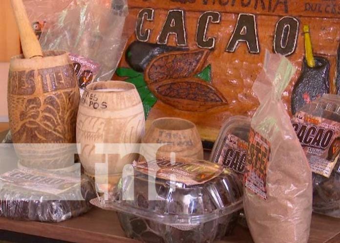 nicaragua, cacao, semilla, produccion, economia,