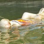 Hallan cadáveres de posibles víctimas de covid-19 en río Ganges, India India, cadaveres, covid-19, rio ganges,