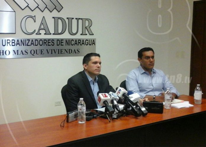 cadio1