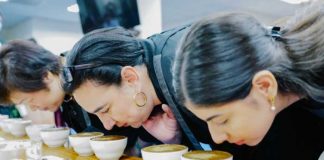 nicaragua, cafe, taiwan, catacion,