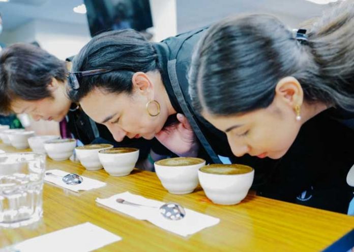 nicaragua, cafe, taiwan, catacion,