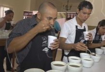 Ocotal: Inicia etapa de Jurado Nacional en Certamen Taza de la Excelencia