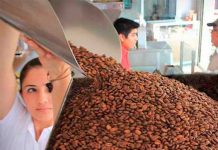 Organización alerta sobre sustancia cancerígena en el café