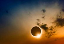 El eclipse y sus efectos: los cinco llamativos cambios que este produjo en la Tierra