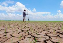 El cambio climático enferma a la gente, dice consorcio médico de EEUU