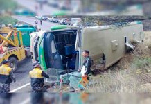 Brasil: Seis muertos y nueve heridos en accidente de autobús