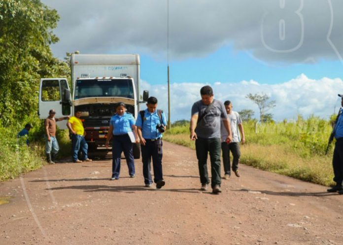 camionsiuna1