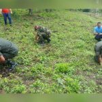 Lanzan campaña de reforestación en Estelí