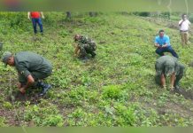 Lanzan campaña de reforestación en Estelí