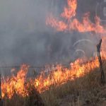 Autoridades de Boaco participan en campaña contra incendios