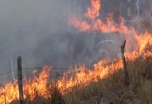 Autoridades de Boaco participan en campaña contra incendios