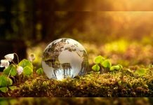 Encuentran en Canadá las huellas más antiguas de vida en la Tierra