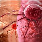En 2030 habrá una muerte por cáncer cada dos segundos en el mundo