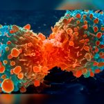 Descubren proceso biológico para mejorar respuesta inmunológica al cáncer