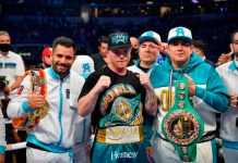 mexico, fortuna, pelea, canelo alvarez, joe saunders